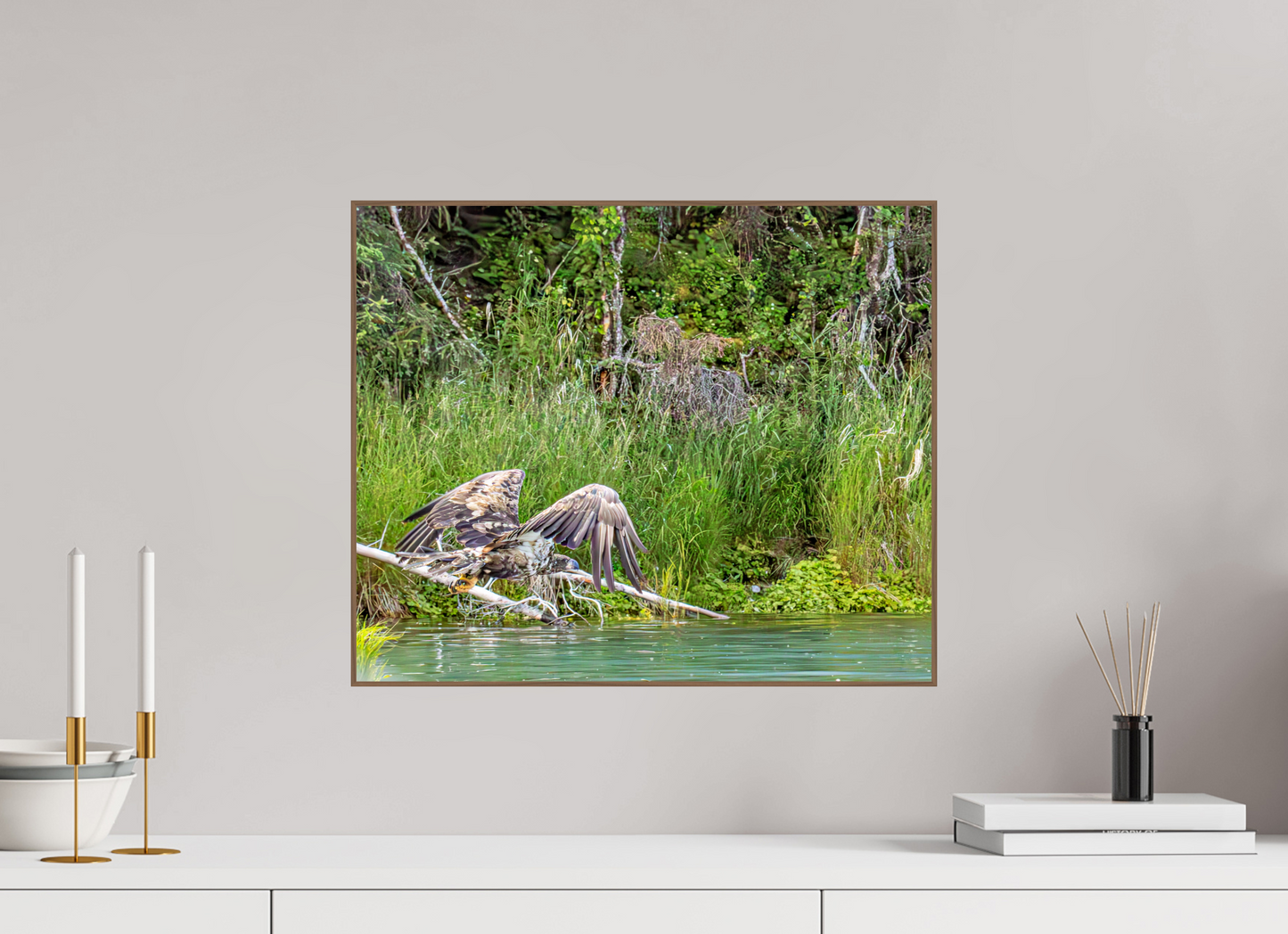 Skimming the Wild – Juvenile Bald Eagle Over the Kasilof River, Nature Photography Print