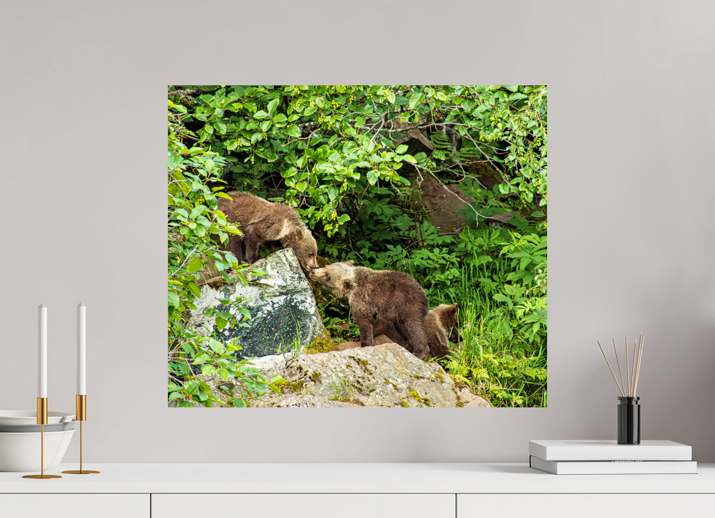 'Kissing" Bear Cubs