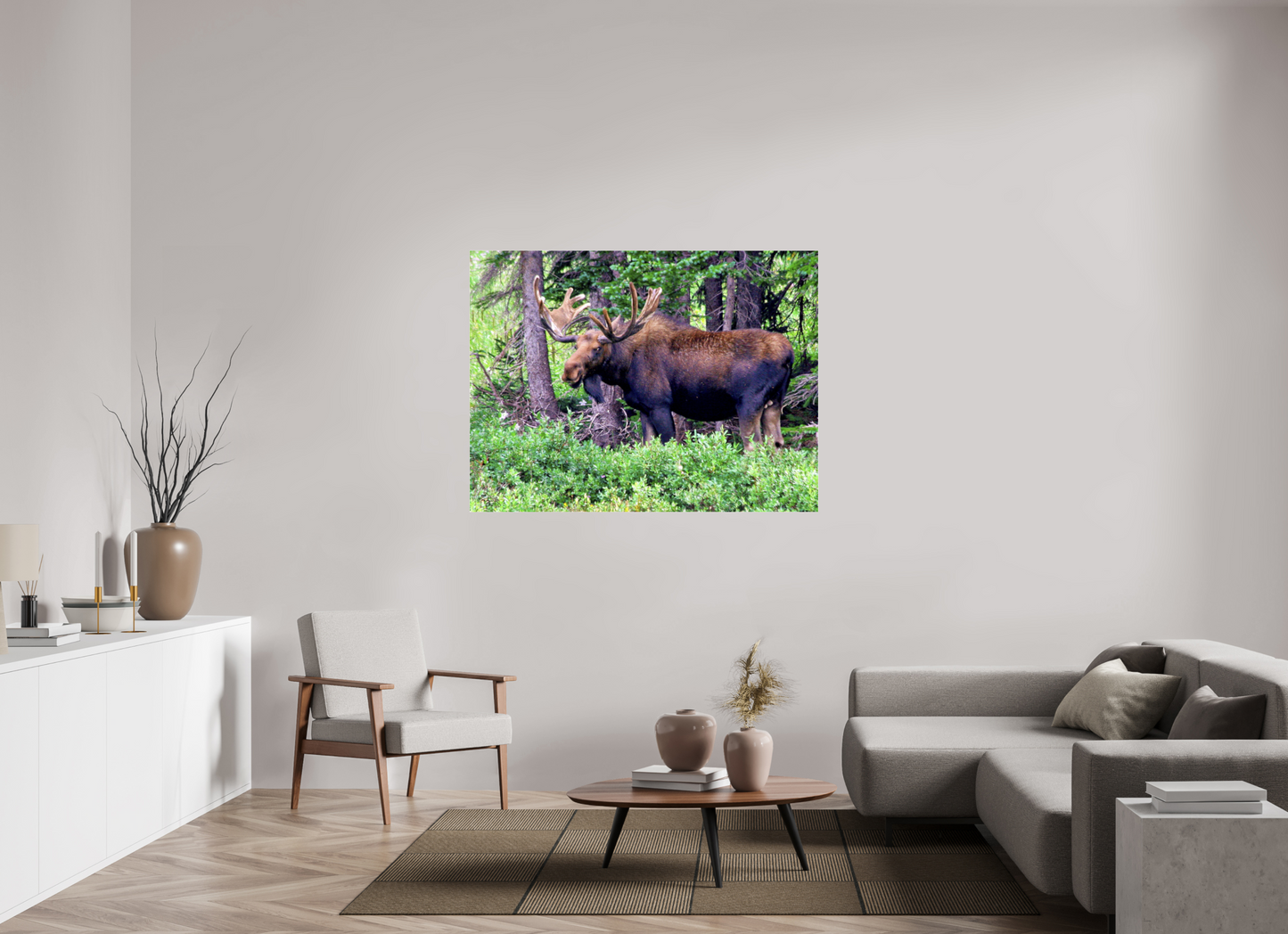 Watchful Moose - Fine Art Wildlife Print