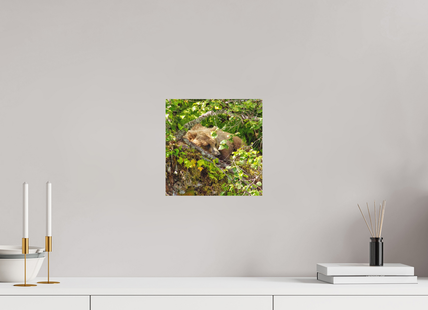 Hide and Peek Nature Photography Print