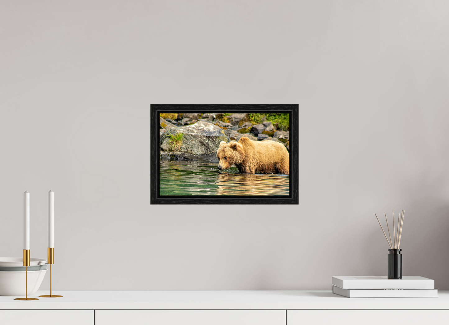 Wild Focus Nature Photography Print