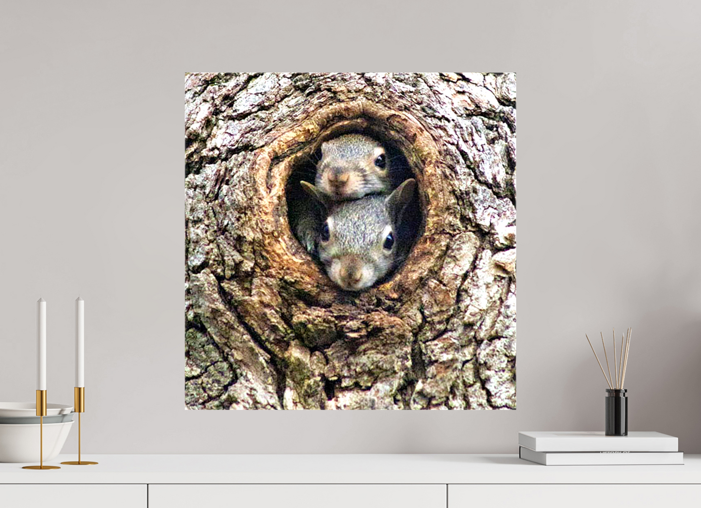 Curious Peek Nature Photography Print