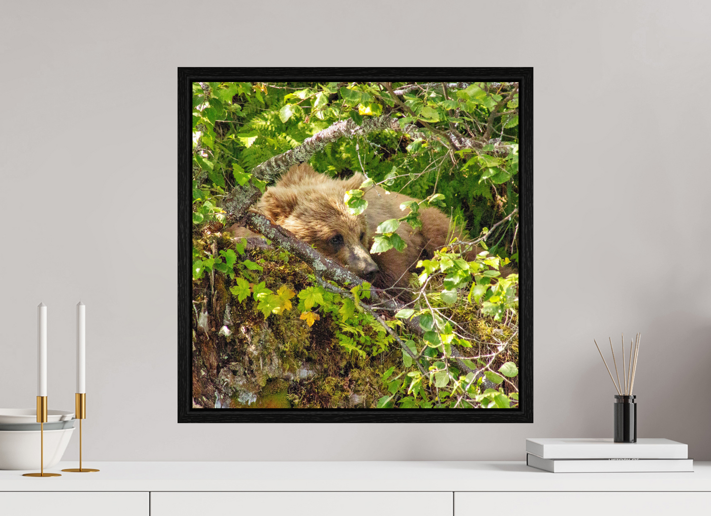 Hide and Peek Nature Photography Print