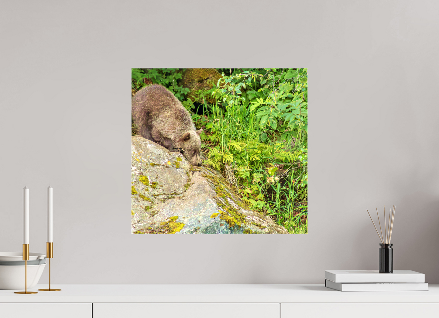 Learning the Ropes Nature Photography Print