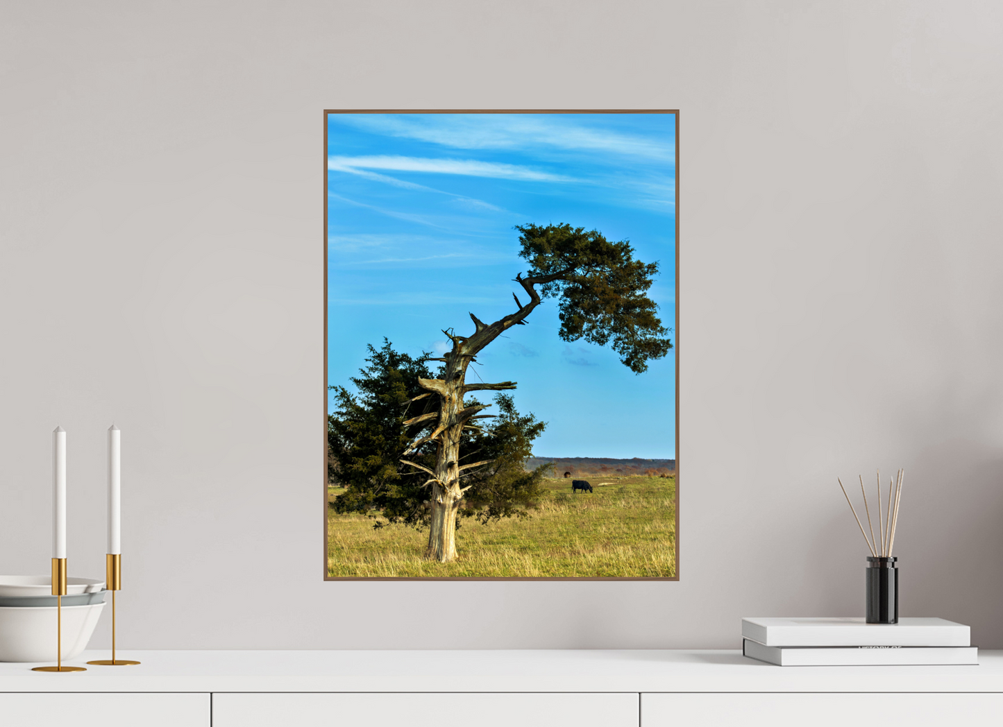 Still Standing – The Cedar That Reached for the Sky