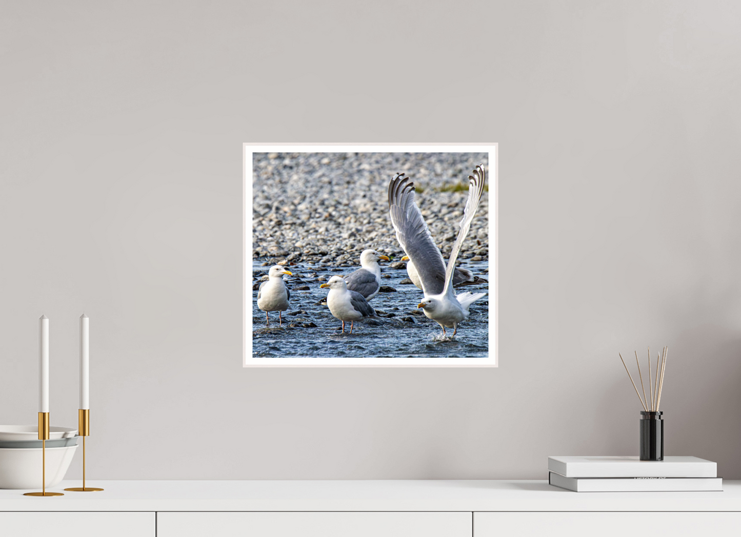 Wings in Motion – Seagulls on the Kasilof River, Alaska Nature Photography Print
