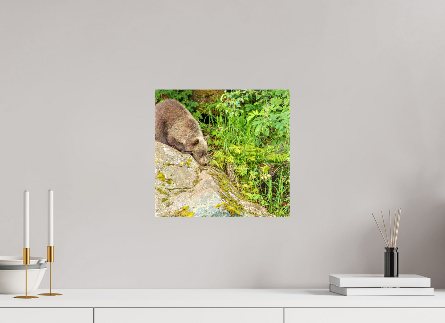 Learning the Ropes Nature Photography Print