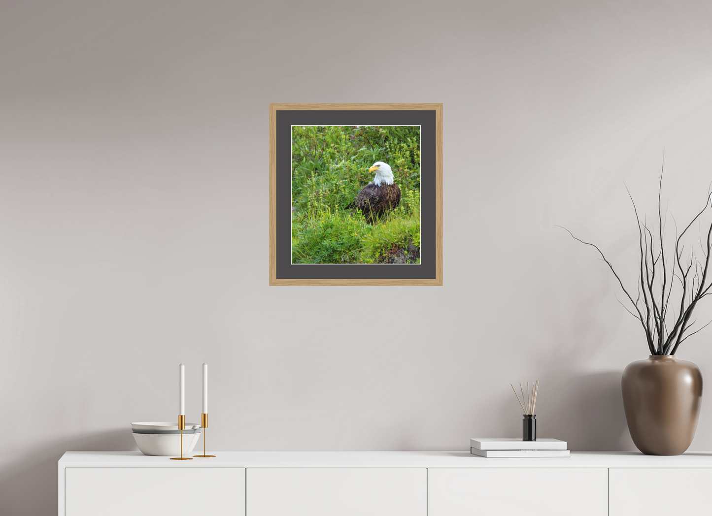 Grounded Majesty – Bald Eagle in Alaska’s Wilderness Nature Photography Print