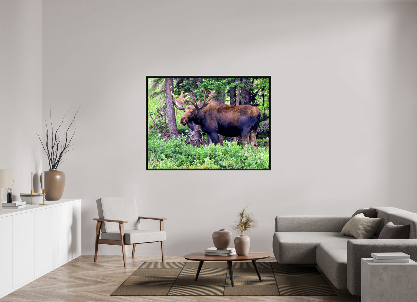Watchful Moose - Fine Art Wildlife Print