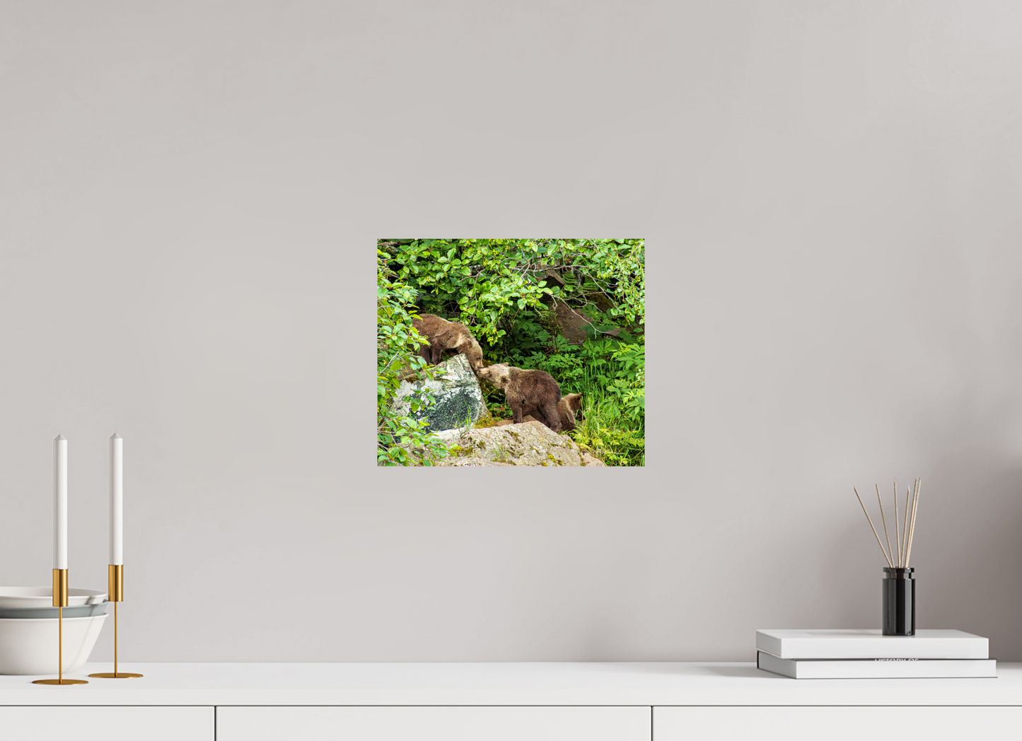 'Kissing" Bear Cubs