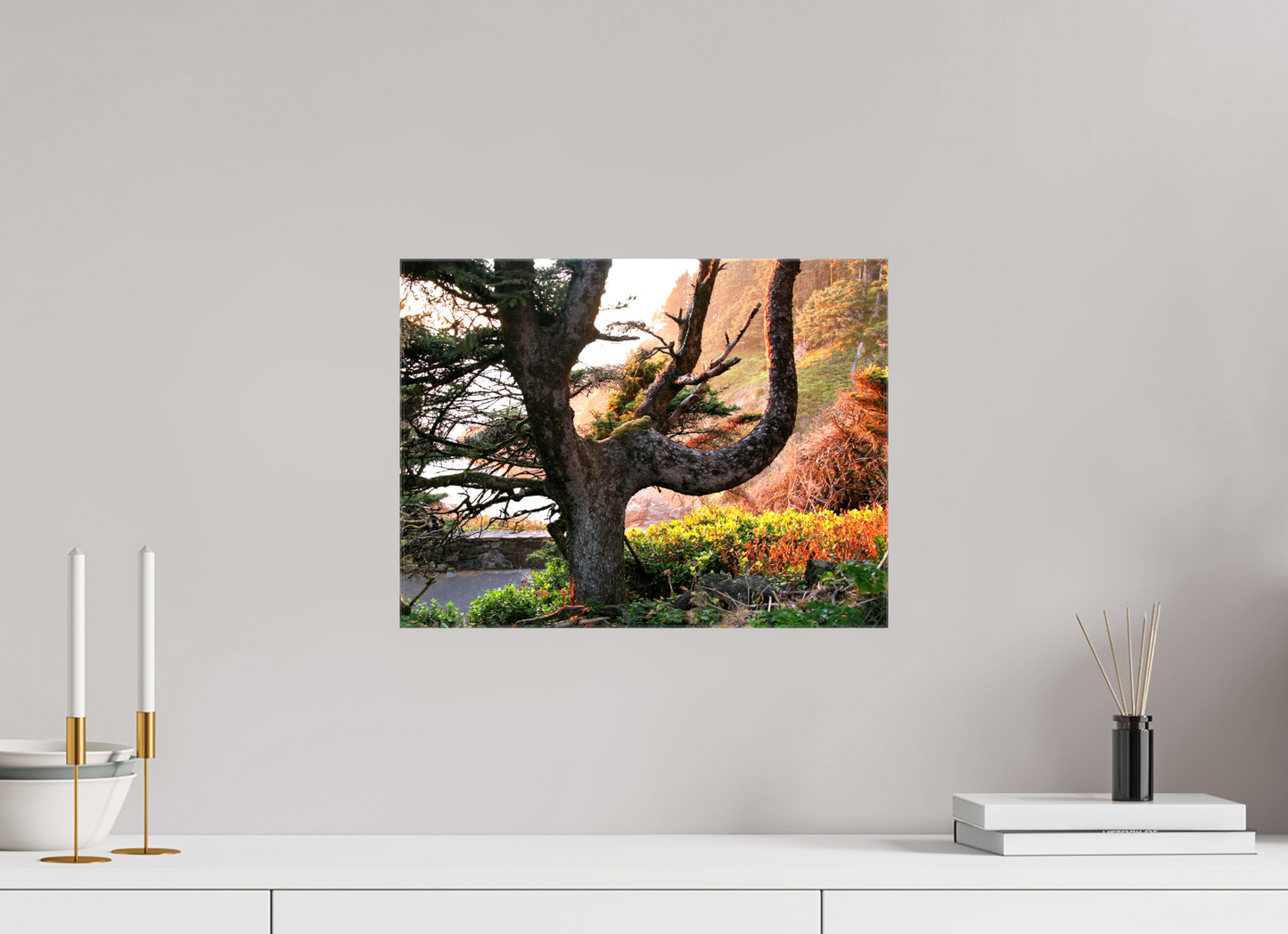 Sunset Glow Fine Art Nature Photography Print