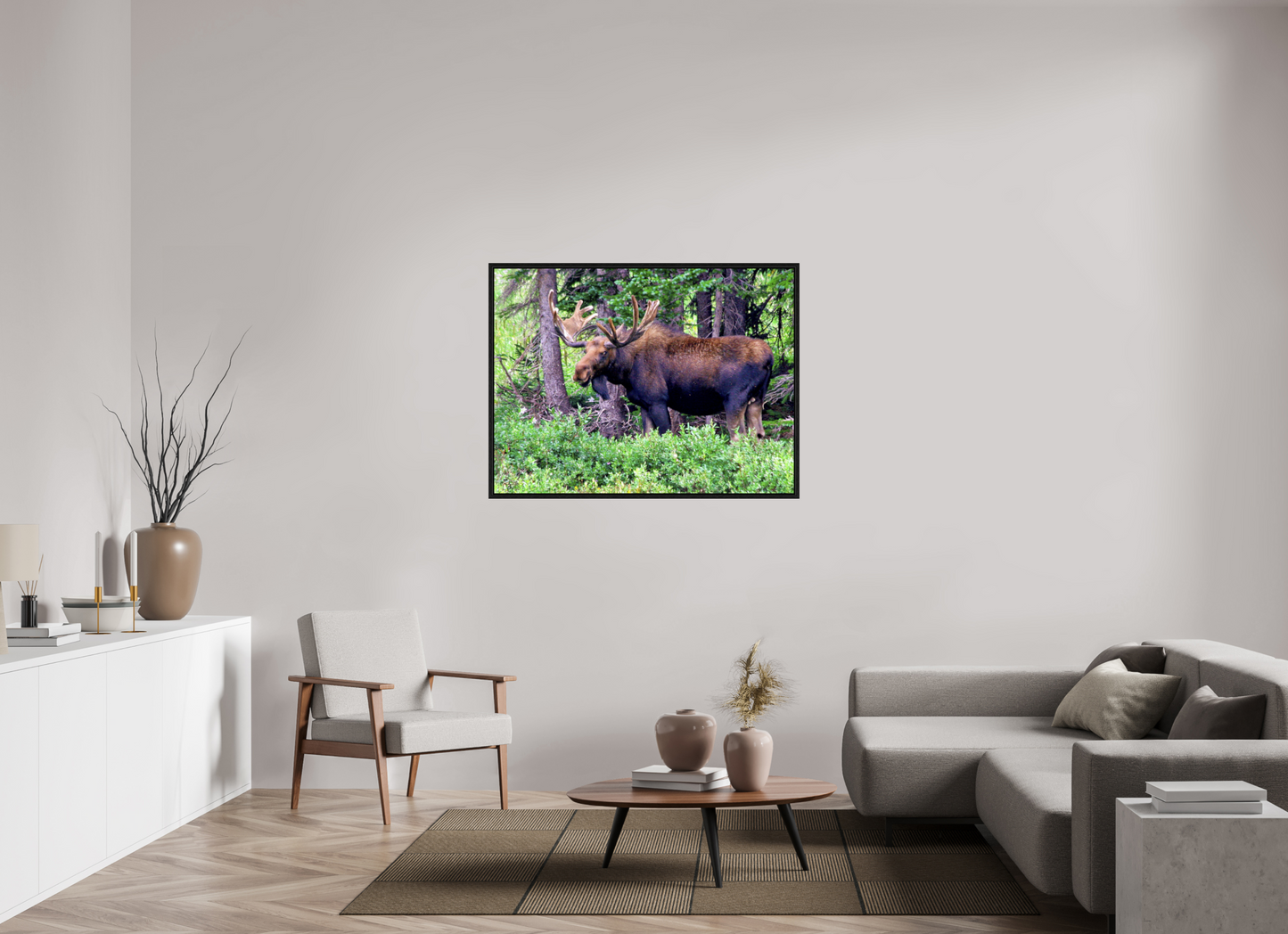Watchful Moose - Fine Art Wildlife Print