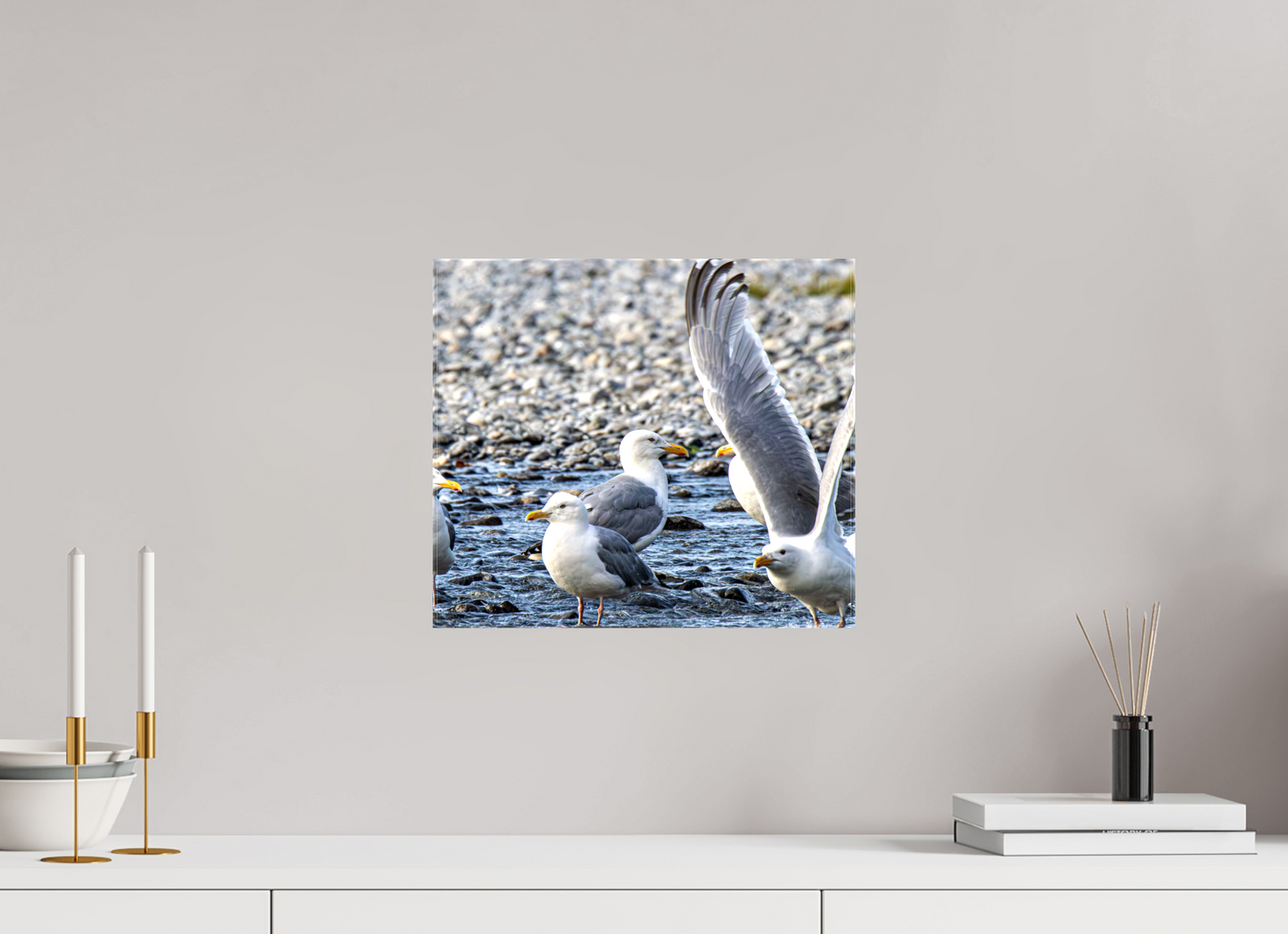 Wings in Motion – Seagulls on the Kasilof River, Alaska Nature Photography Print