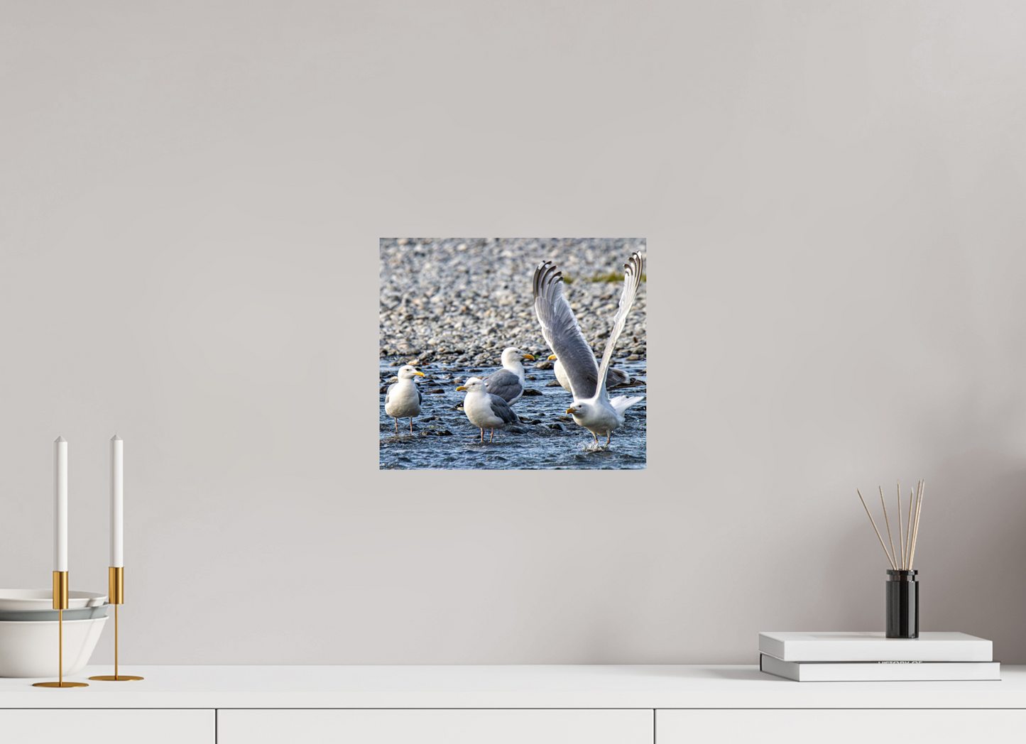 Wings in Motion – Seagulls on the Kasilof River, Alaska Nature Photography Print