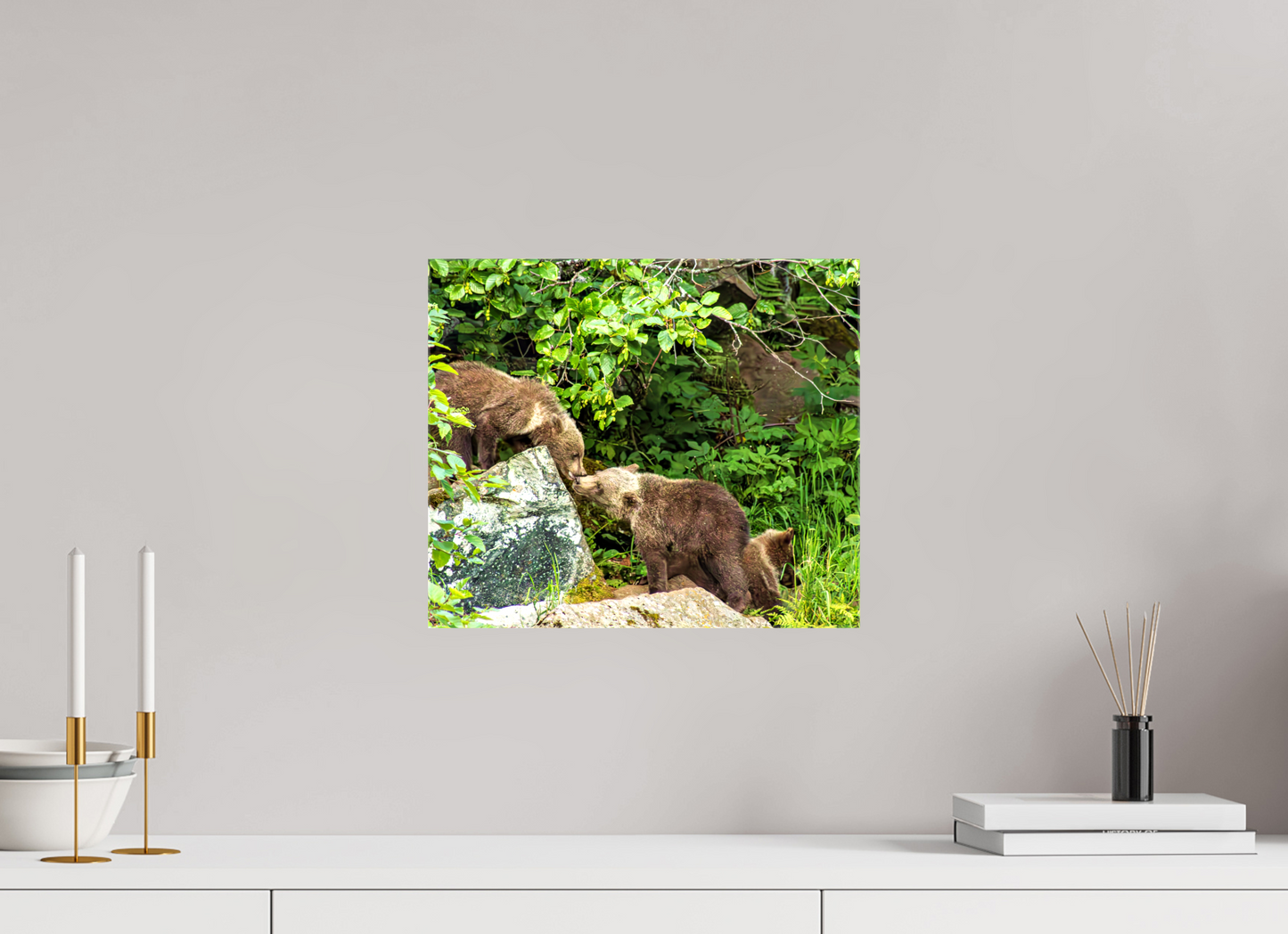 'Kissing" Bear Cubs