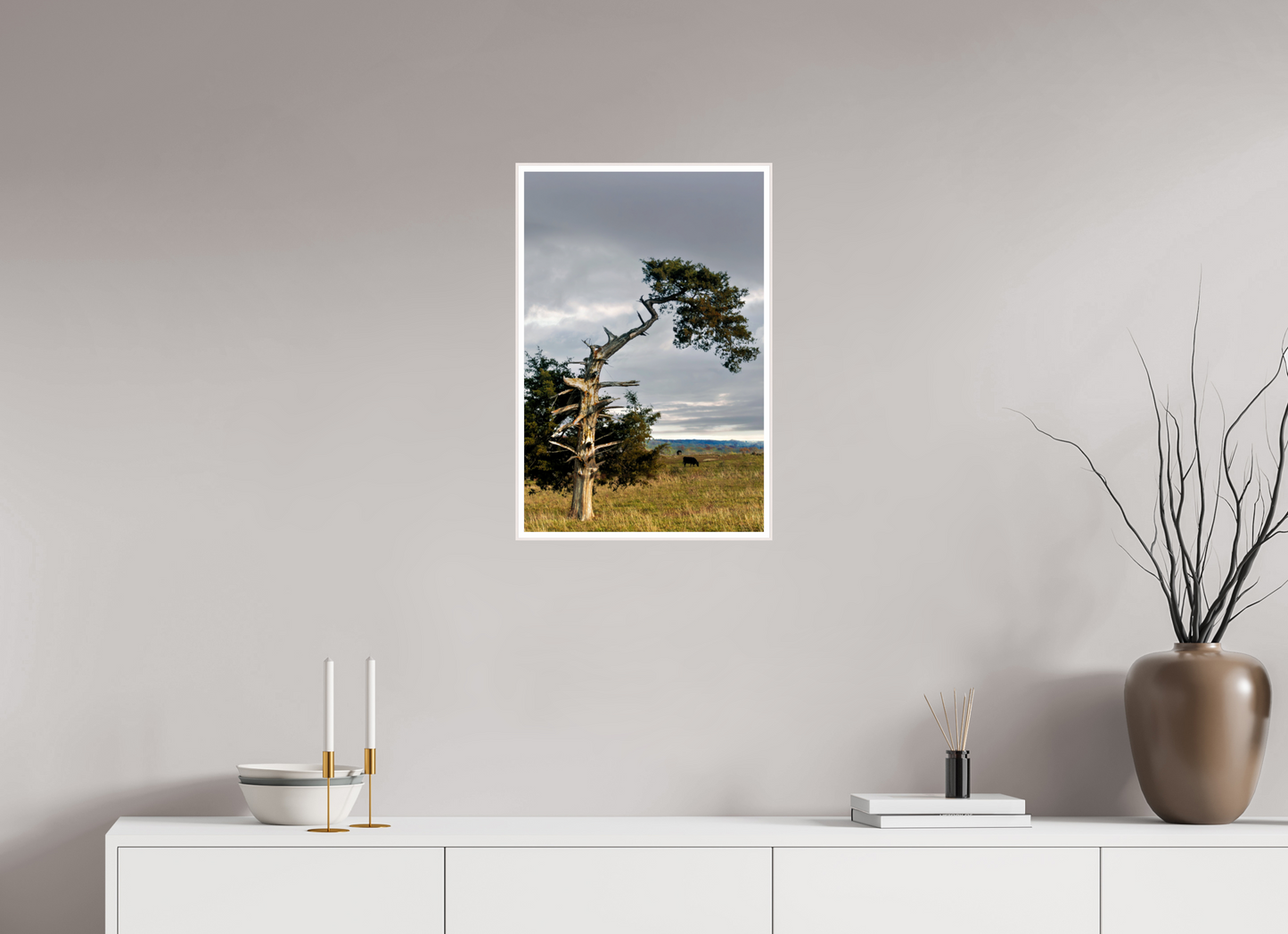 Still Standing - The Cedar That Weathered It All