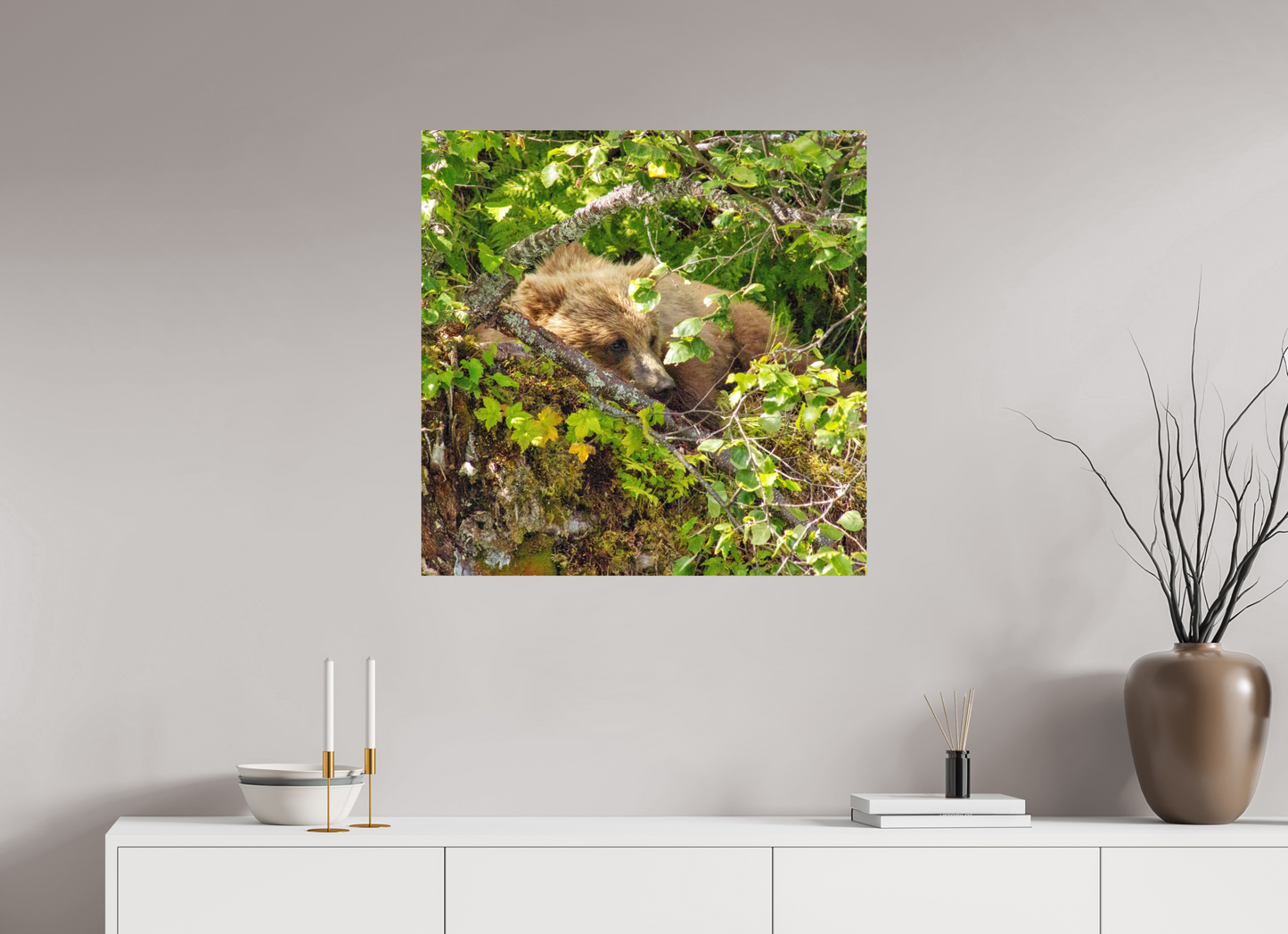 Hide and Peek Nature Photography Print