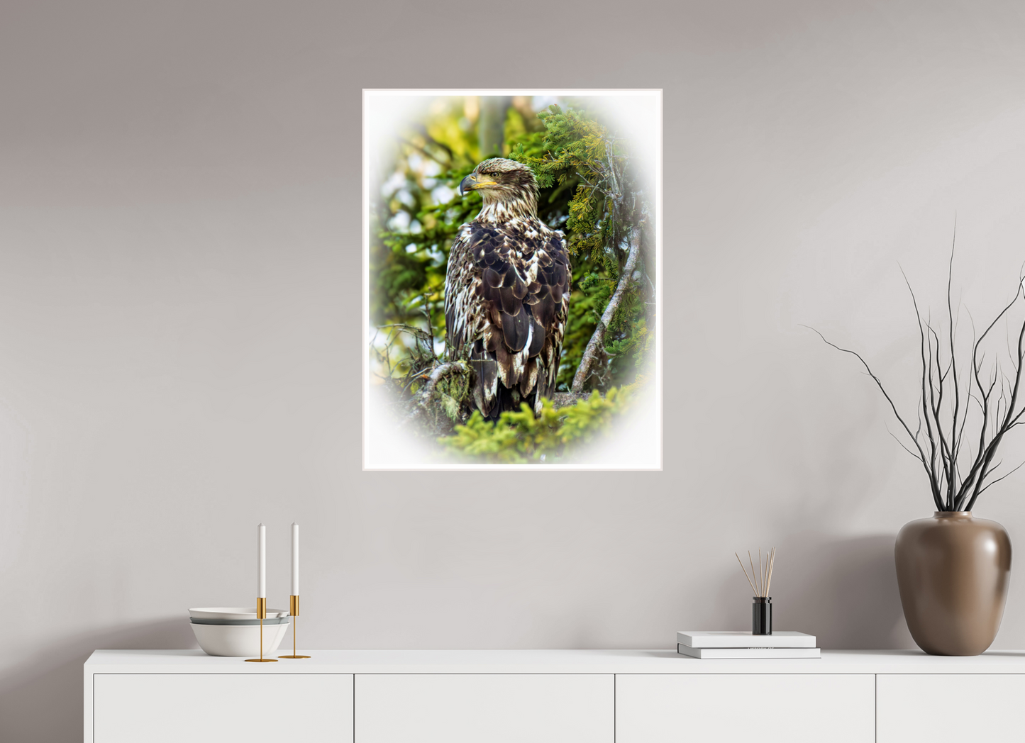 Forest Watch – Young Eagle Among the Pines Nature Photography Print