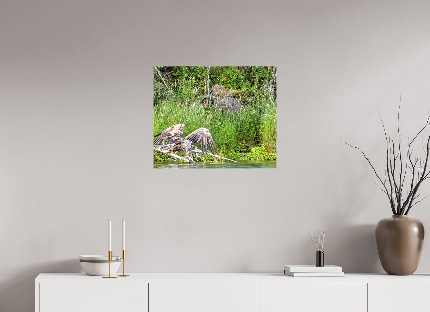 Skimming the Wild – Juvenile Bald Eagle Over the Kasilof River, Nature Photography Print