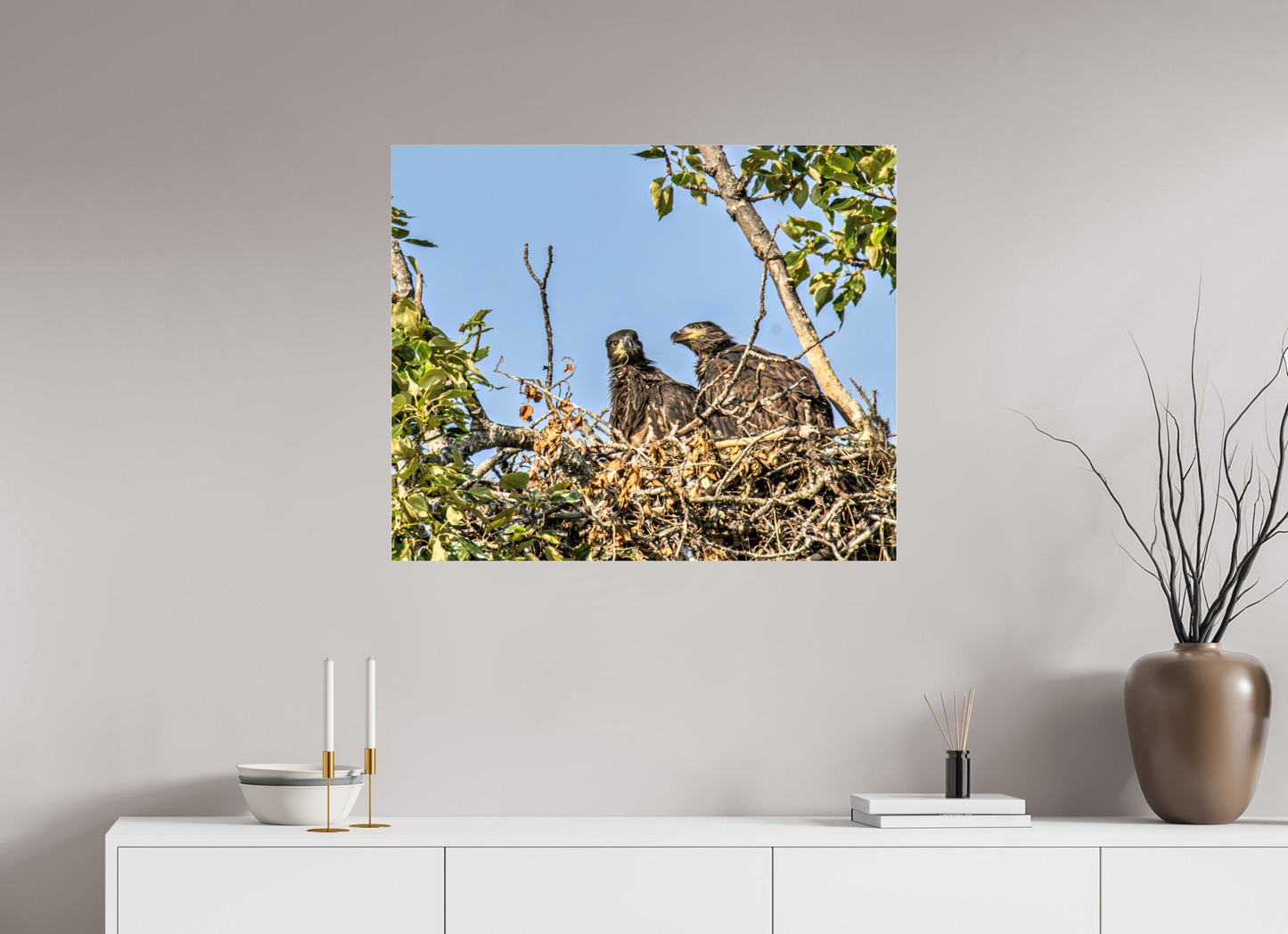 Nestmates – Young Eagles in a Woodland Home – Nature Photography Print