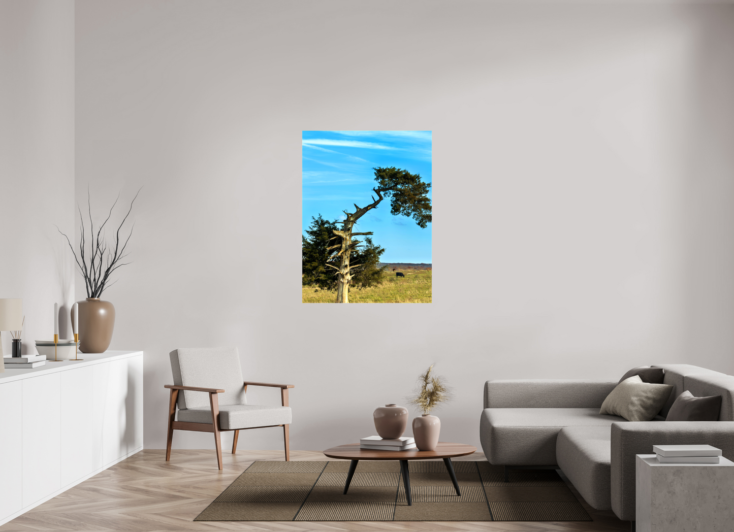Still Standing – The Cedar That Reached for the Sky