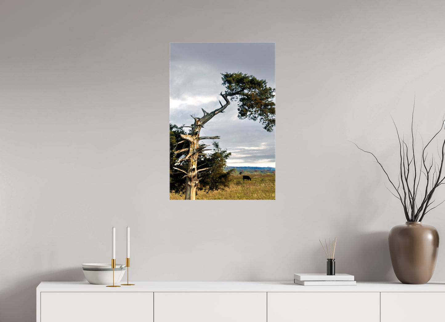Still Standing - The Cedar That Weathered It All
