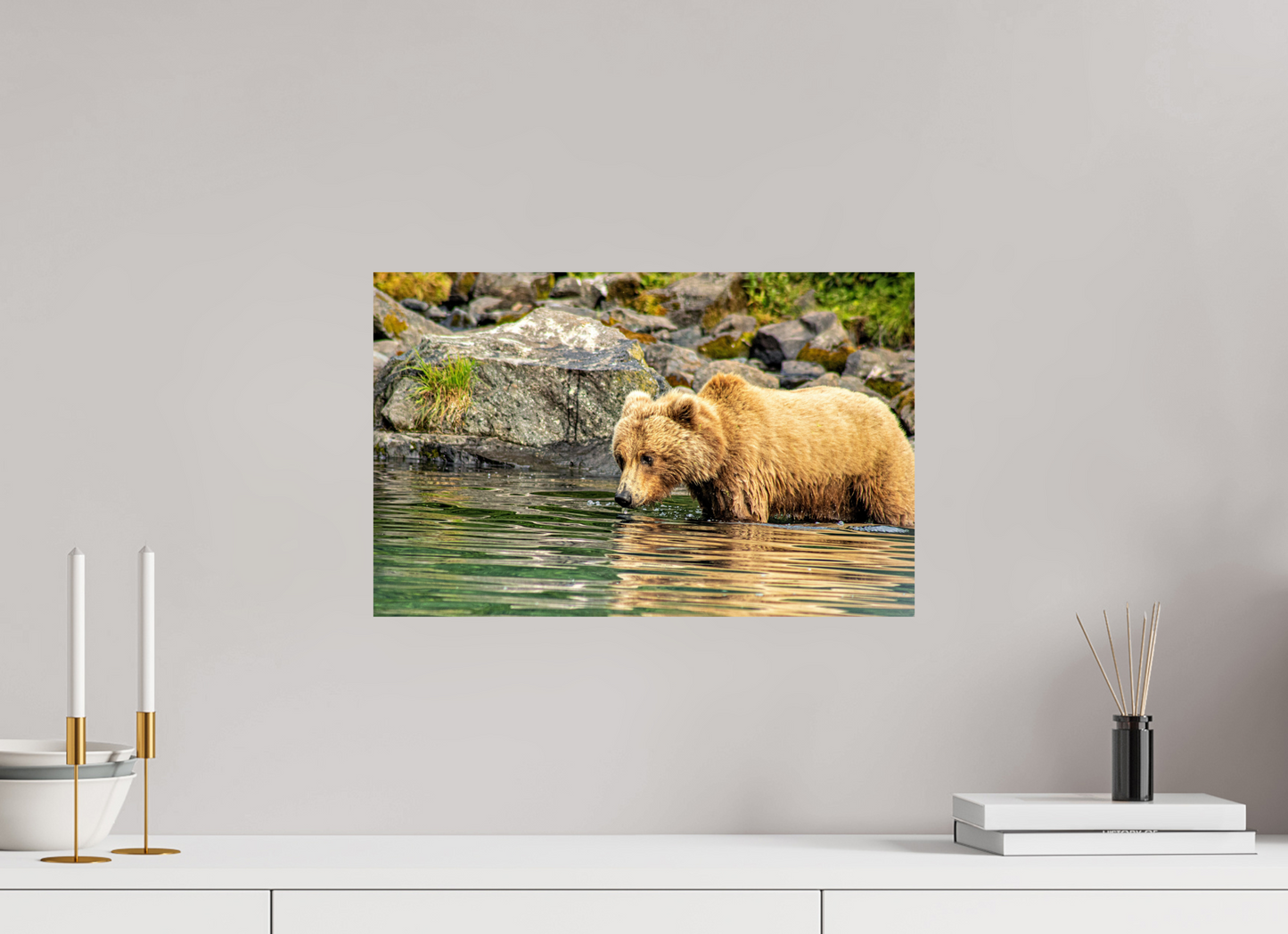Wild Focus Nature Photography Print