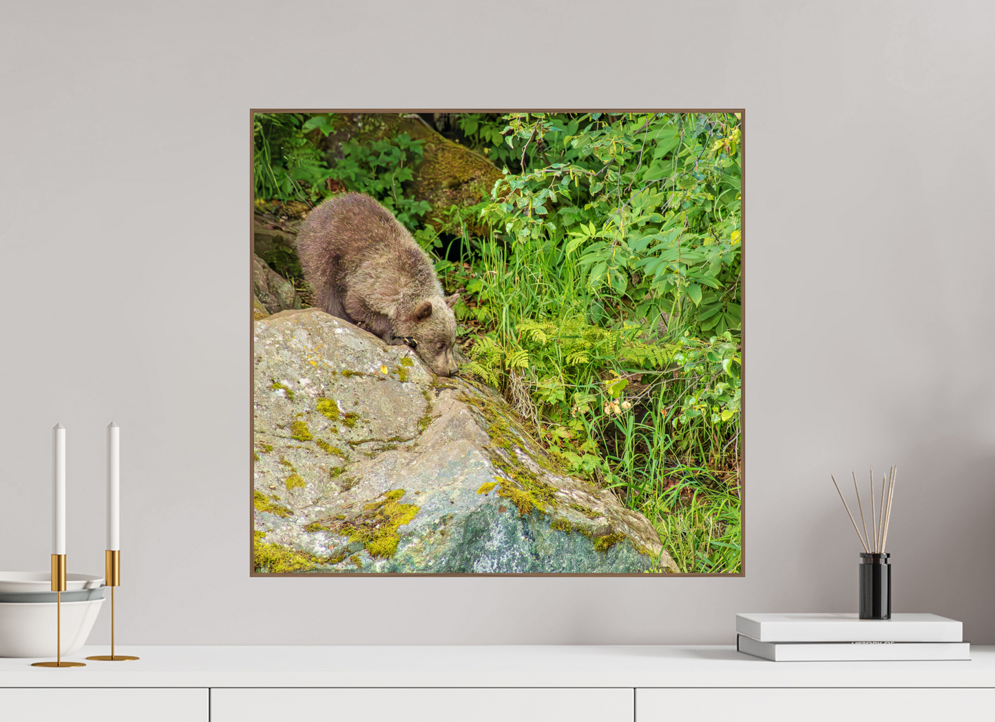 Learning the Ropes Nature Photography Print