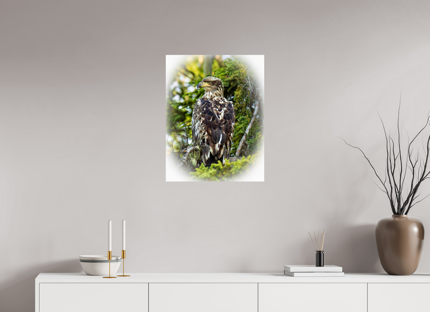 Forest Watch – Young Eagle Among the Pines Nature Photography Print