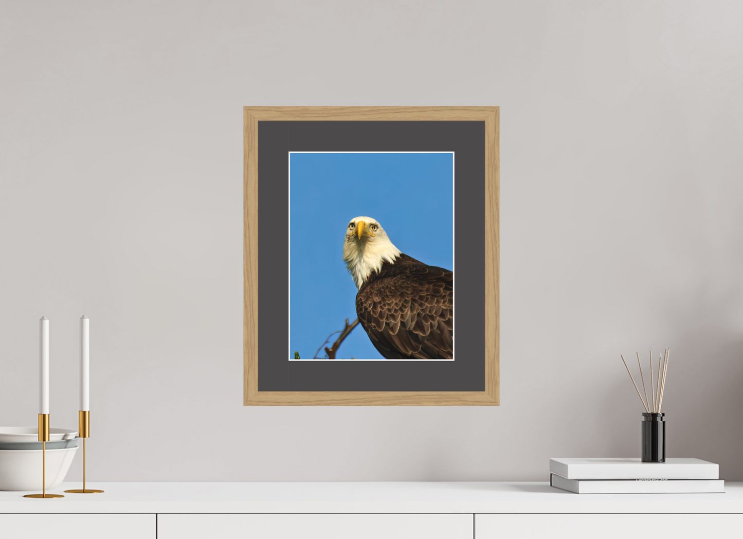 Eyes of the Wild – Bald Eagle in Alaska’s Wilderness Nature Photography Print