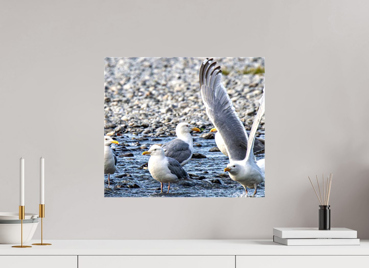 Wings in Motion – Seagulls on the Kasilof River, Alaska Nature Photography Print