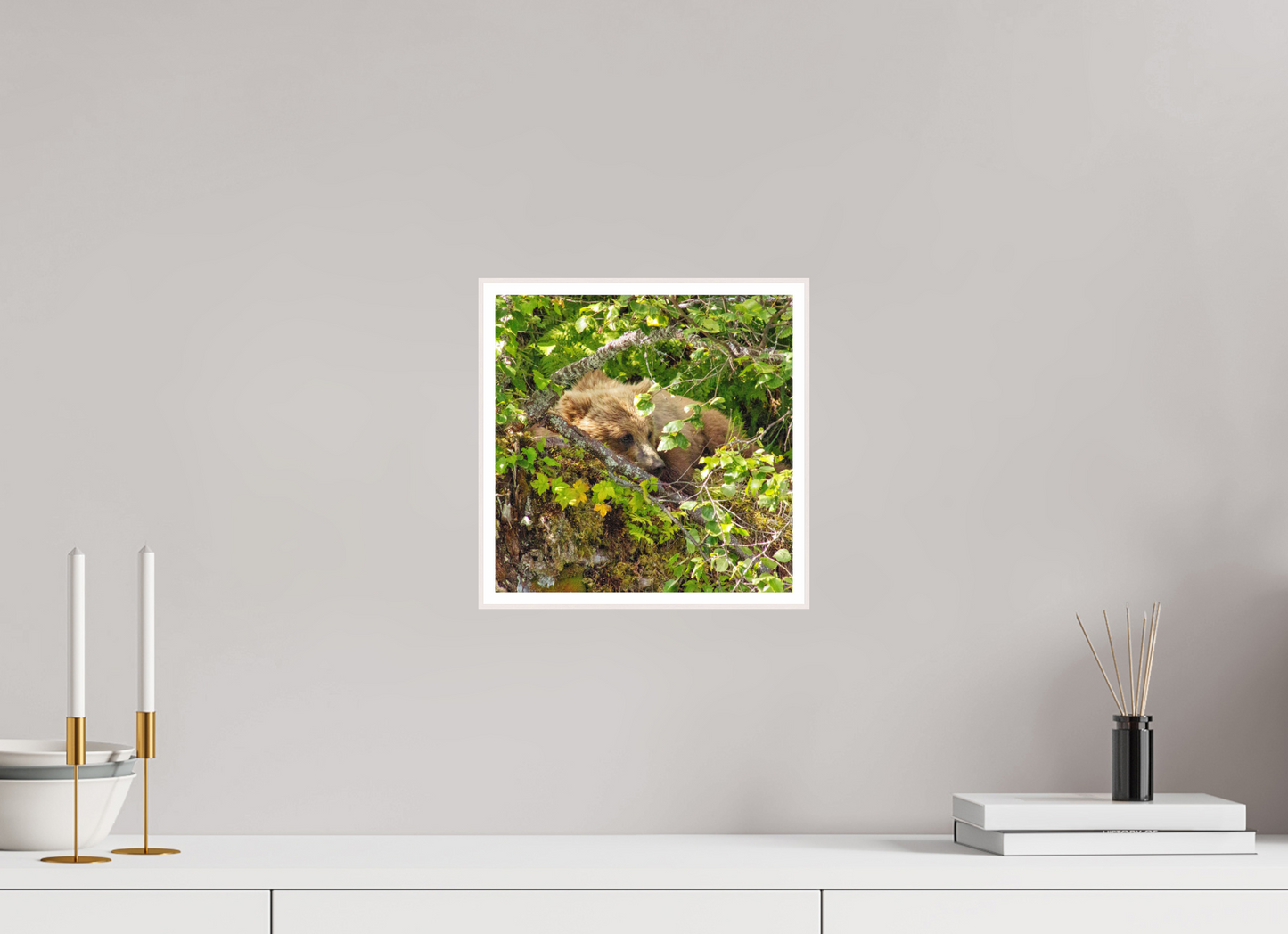 Hide and Peek Nature Photography Print