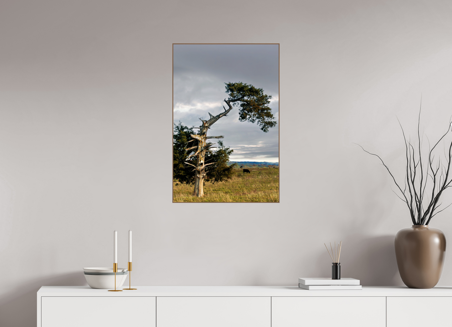 Still Standing - The Cedar That Weathered It All