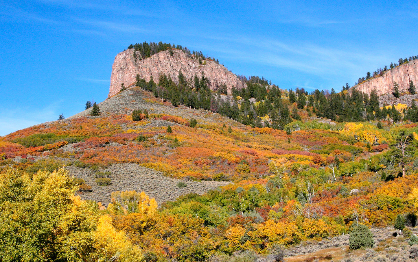 Nature photography print -landscape of Blue Mesa Point Colorado with autumn foliage and clear blue sky