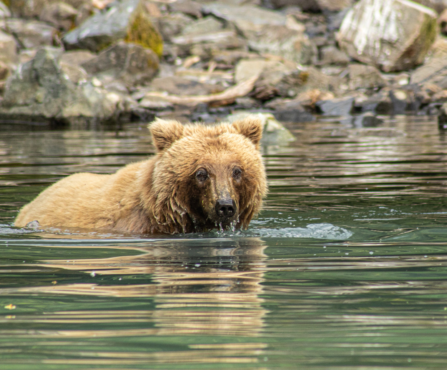 Fishing the Deep End Nature Photography Print