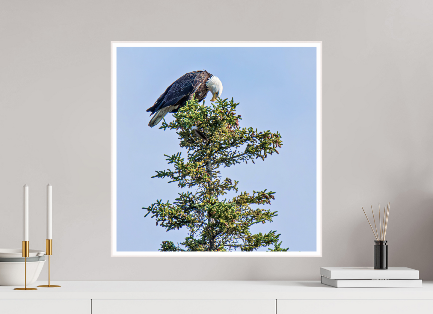 Silent Sentinel – Bald Eagle in Alaska’s Pines Nature Photography Print