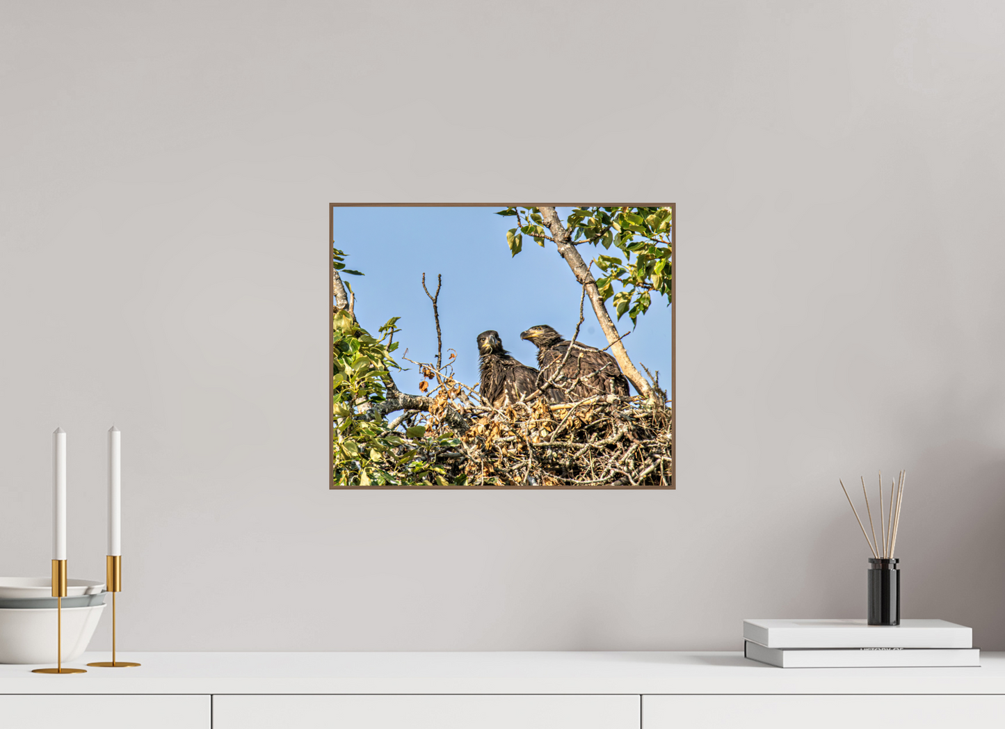 Nestmates – Young Eagles in a Woodland Home – Nature Photography Print