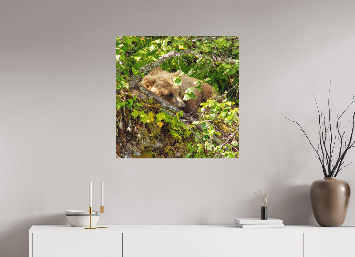 Hide and Peek Nature Photography Print