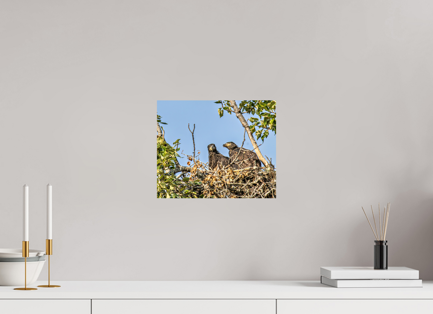 Nestmates – Young Eagles in a Woodland Home – Nature Photography Print