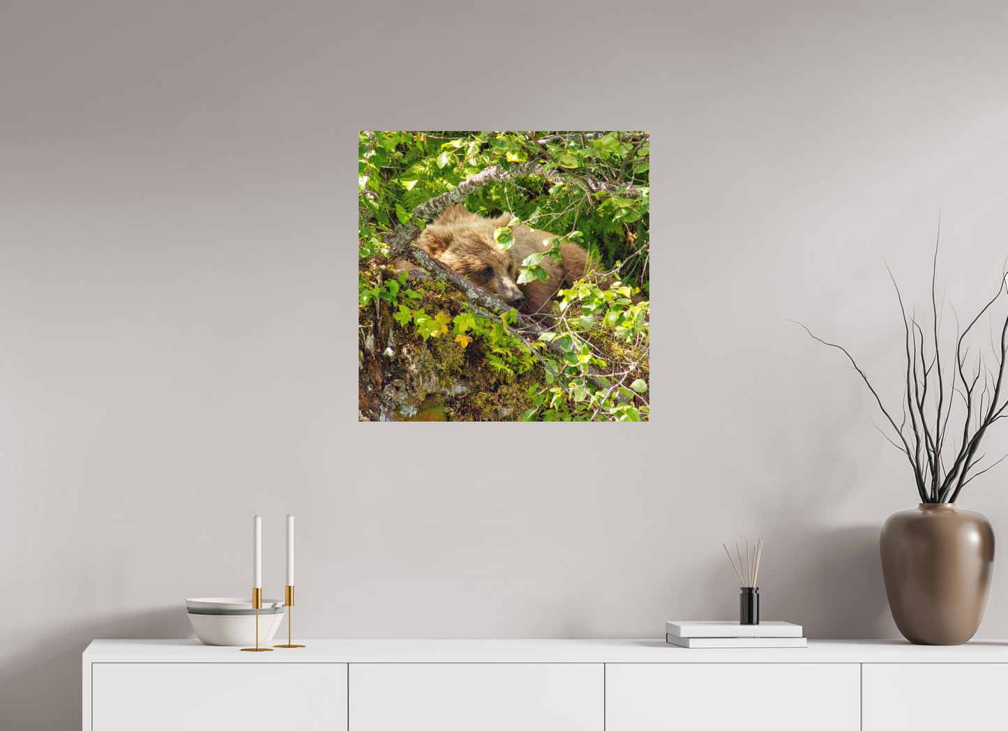 Hide and Peek Nature Photography Print