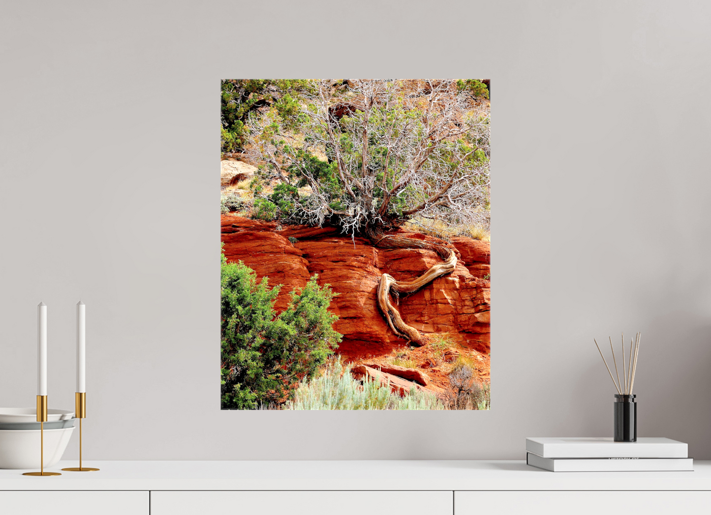 Resilient Roots – Twisted Tree in Red Rock Desert Fine Art Print