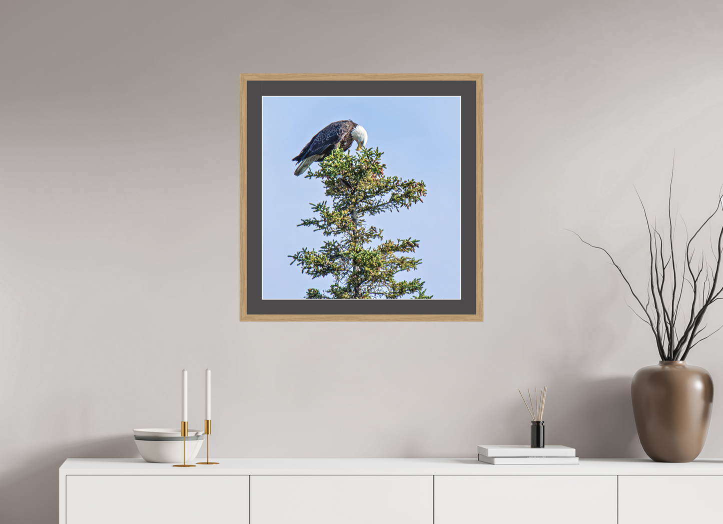 Silent Sentinel – Bald Eagle in Alaska’s Pines Nature Photography Print