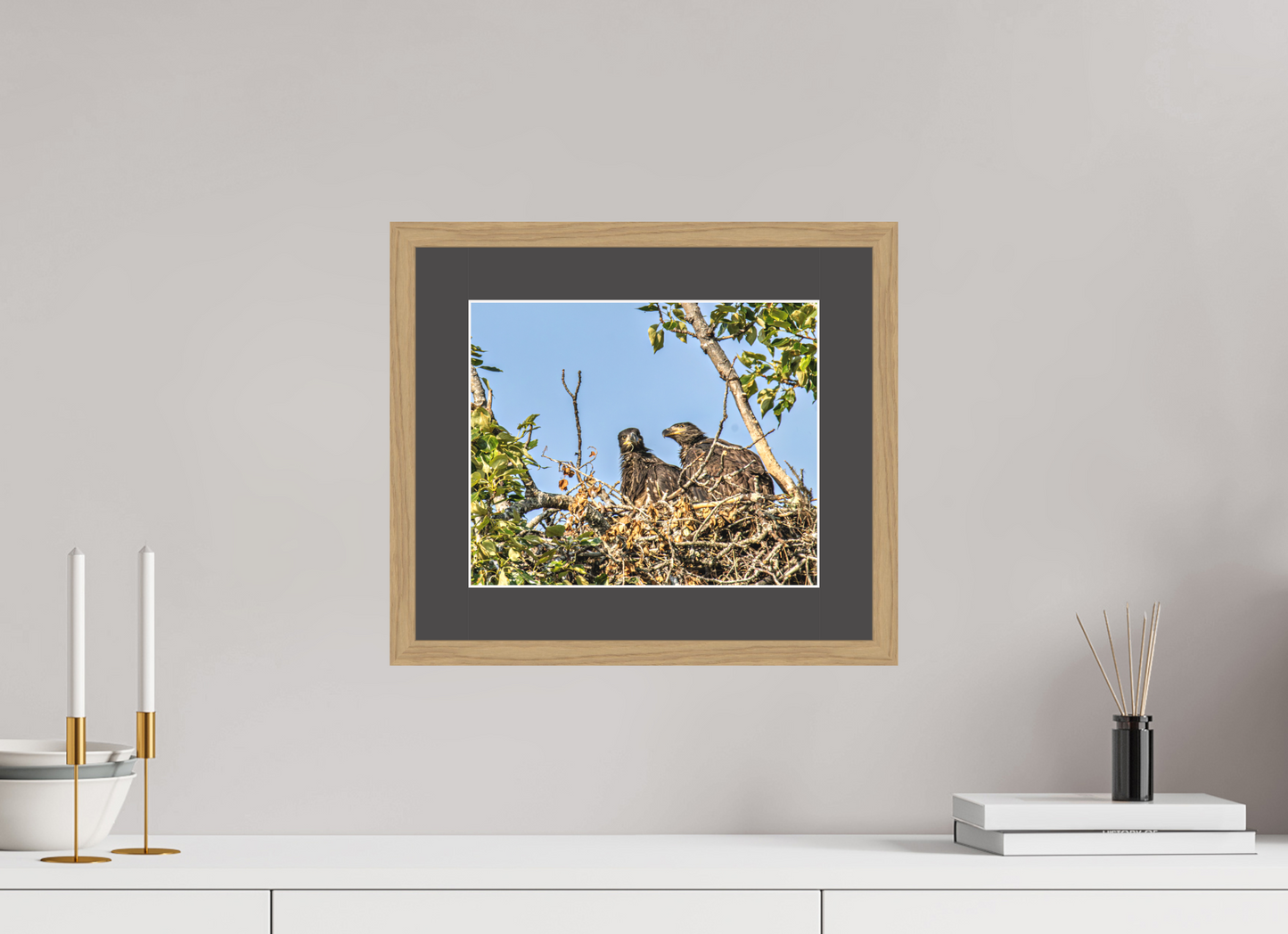 Nestmates – Young Eagles in a Woodland Home – Nature Photography Print