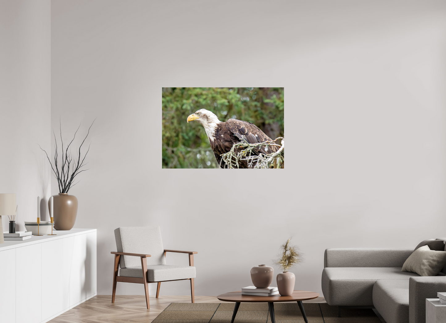 Majestic Watch – Bald Eagle on the Kenai Peninsula Nature Photography Print