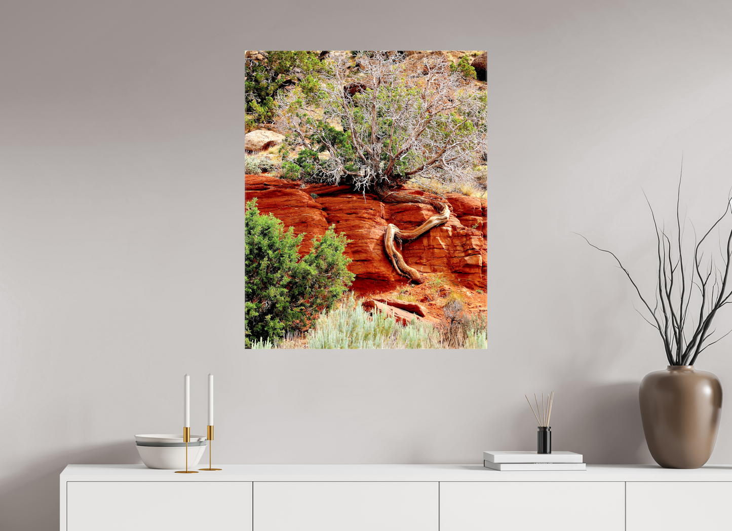 Resilient Roots – Twisted Tree in Red Rock Desert Fine Art Print