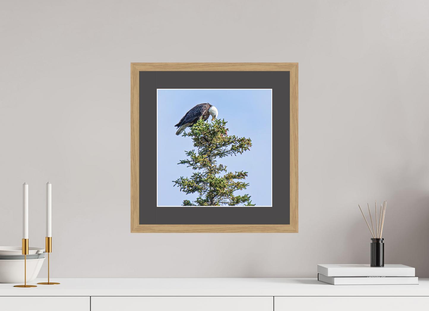 Silent Sentinel – Bald Eagle in Alaska’s Pines Nature Photography Print