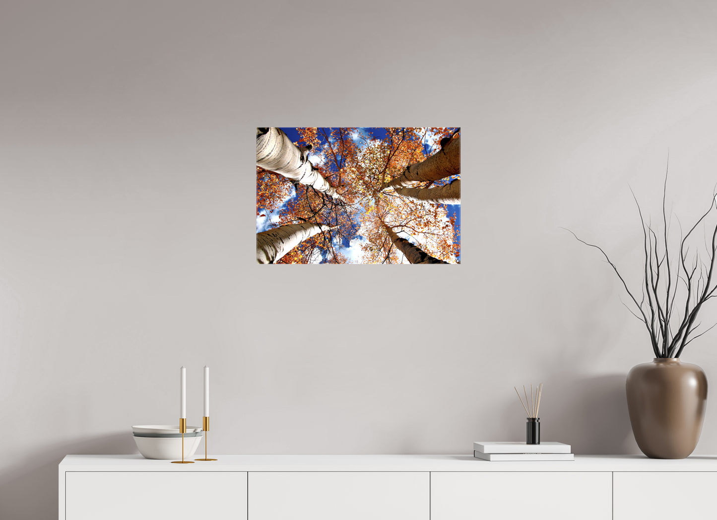 Reaching for the Sky – Where Aspens Whisper to the Clouds Nature Photography Print