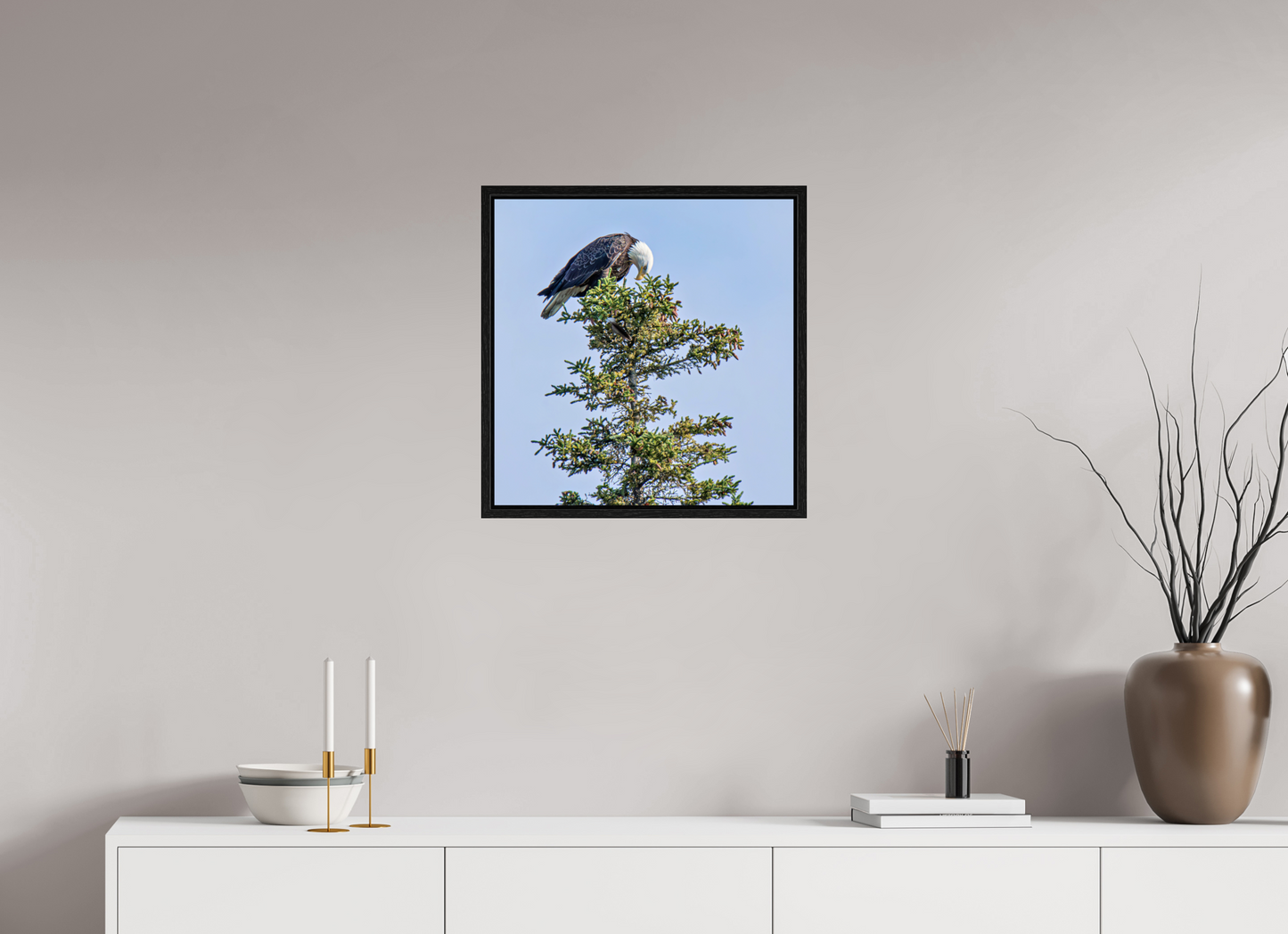 Silent Sentinel – Bald Eagle in Alaska’s Pines Nature Photography Print