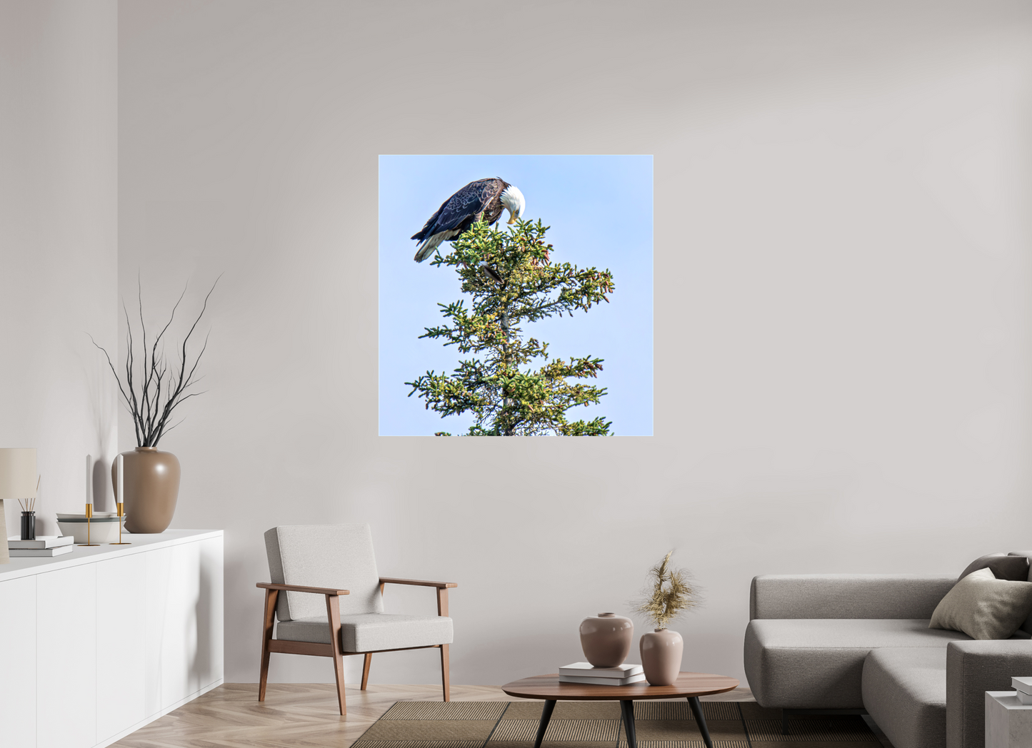 Silent Sentinel – Bald Eagle in Alaska’s Pines Nature Photography Print