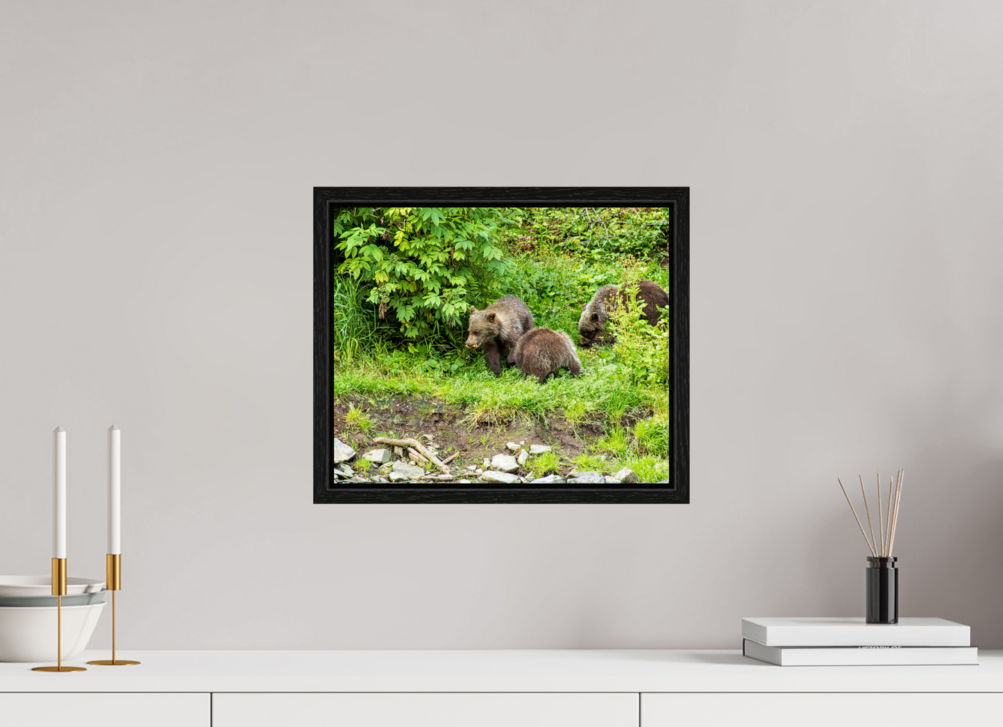 Brown Bear Triplets